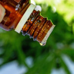 When to take hemp oil for the maximum benefit?